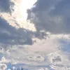 eva_langas