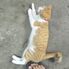 madi.khairul