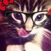 lolu.vnxsss
