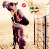 user7881929169672