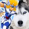 hyoga.hyuski