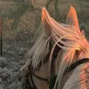 natalia_sabater2