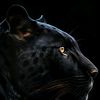 black_listl