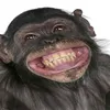 josem.78