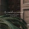 abo.mohammed091