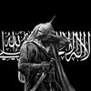 amr.kamal460