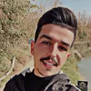 ali313zxm