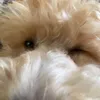 .lily.catherwoodprivv