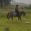 jtp_equestrian