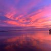 laurie_179