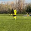 tommyheering_