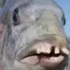 brr1ck