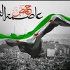 shadia0251