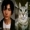 yczqjiz