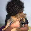 ynwmau__