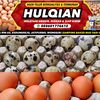 Hulqian_Telur Official