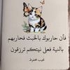 ebrahim.klib