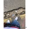 william_sufrido