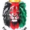 afghanshirzad49