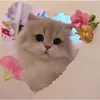 youre_girl_yanie4