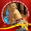 minh.phan7445