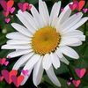 blanca.margarita84