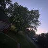 stevens_random_ahh_acc