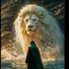 mohammadalasade62