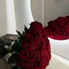 gofran_kresh006