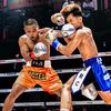kkfajee🥊