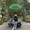 pcx_kzr_wong_tulus