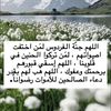 user2165481853878