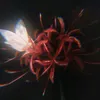 xz_xz331