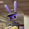 mit_rio