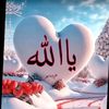 user53333583161256