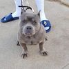 octavious.faison