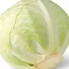 cagbage3822