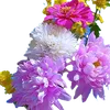 tyyhfdio8