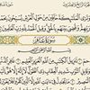 userali_95