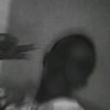 qani7830