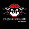 flyvisiondrone