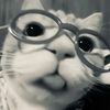 marshmallow_6789