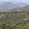 malikaaicha369