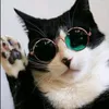 bloody.catgr