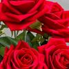 mariacecilia8736