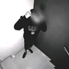 draco.001_2.0