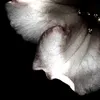 mannu_889