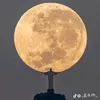 joao_miguel_sp
