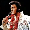 elvis.16081977