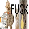 bj.mp4